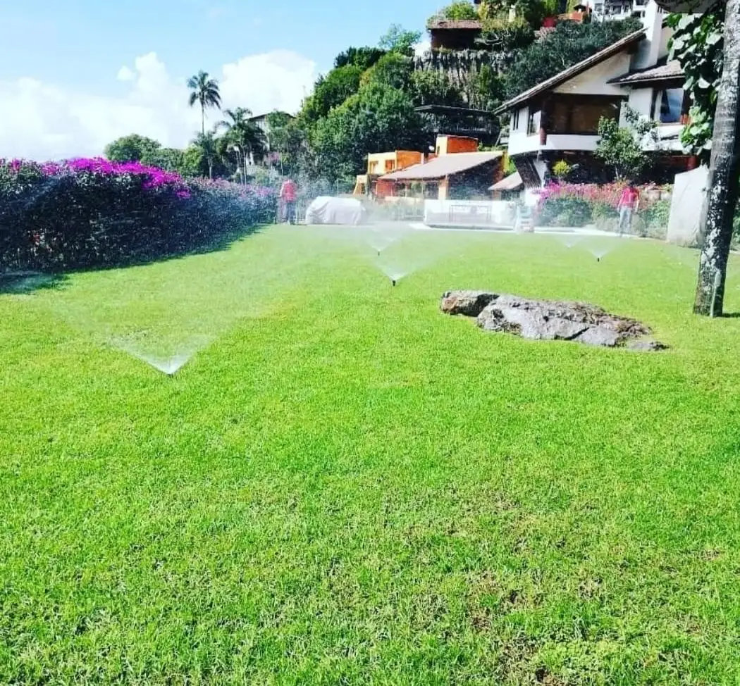 Riego por aspersión en un jardín residencial con pasto