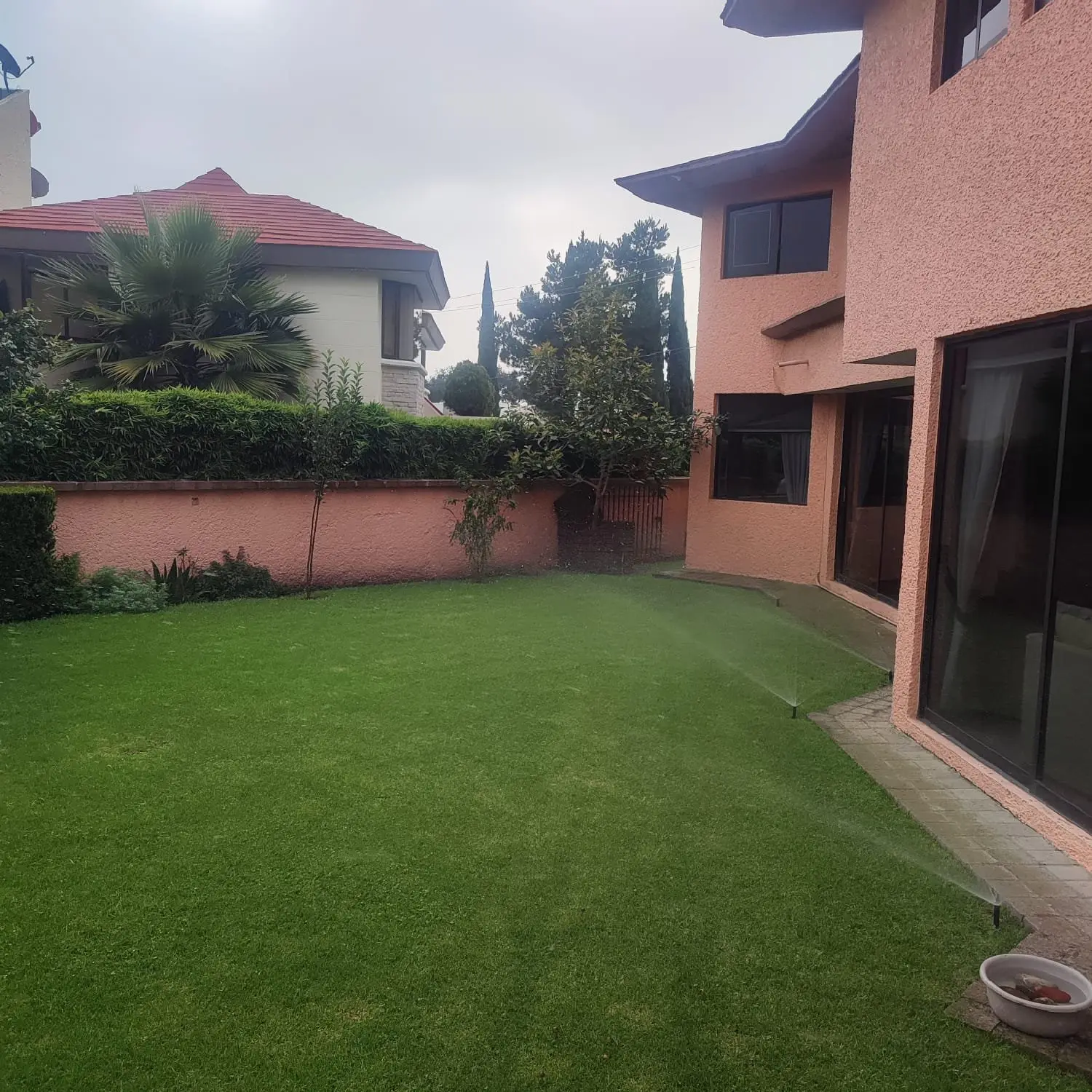 Vista del jardín con el sistema de aspersión funcionando