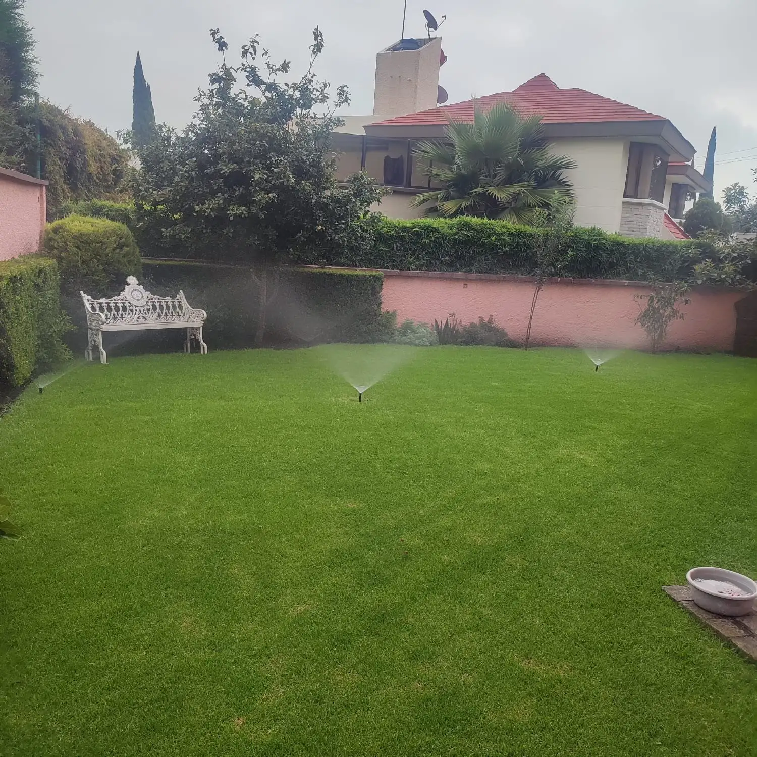 Aspersores emergentes regando el pasto de un jardín residencial con bardas rosas y banca blanca