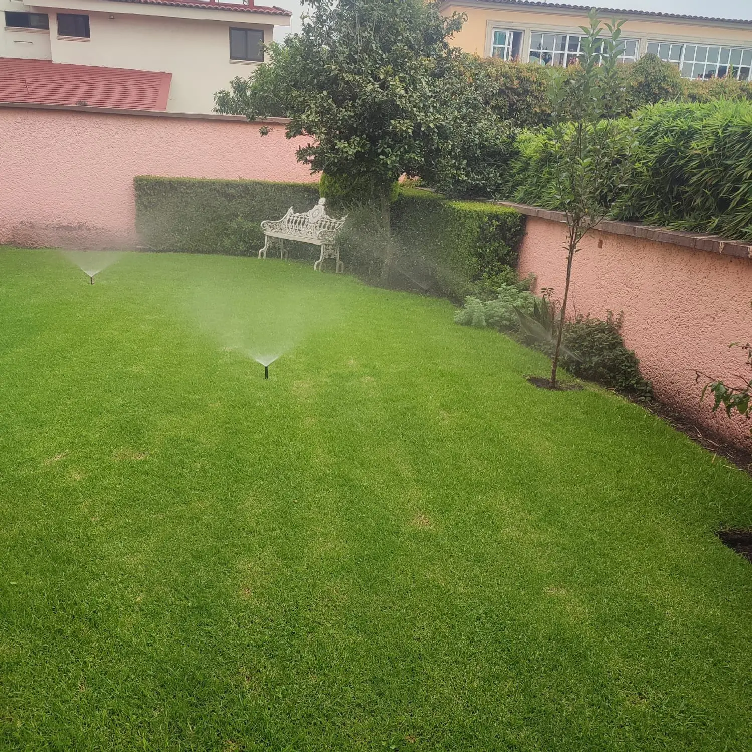 Aspersor emergente regando el pasto junto a la barda del jardín