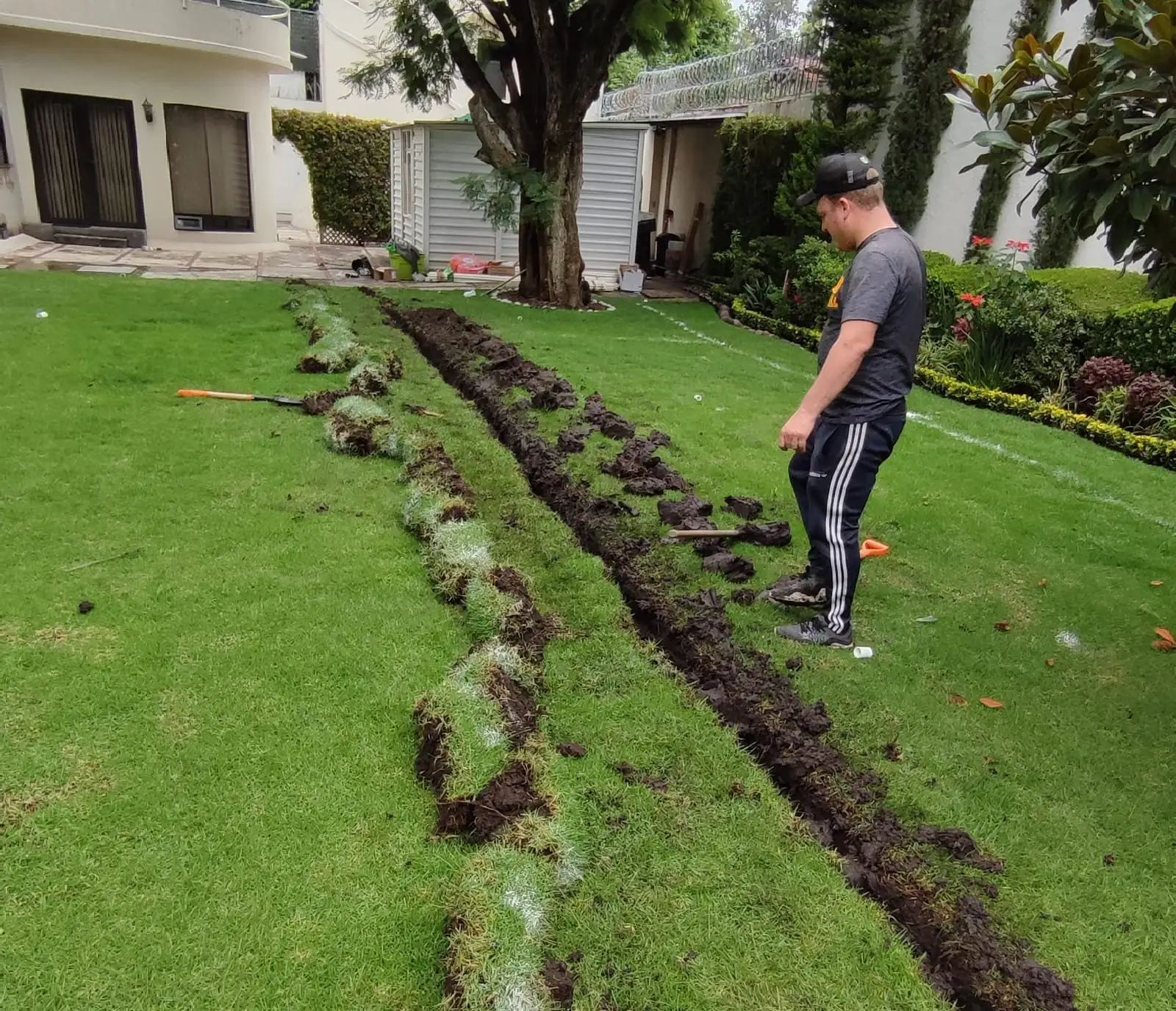 Zanja angosta abierta en el pasto para instalar la tubería de riego, con el pasto levantado a un lado