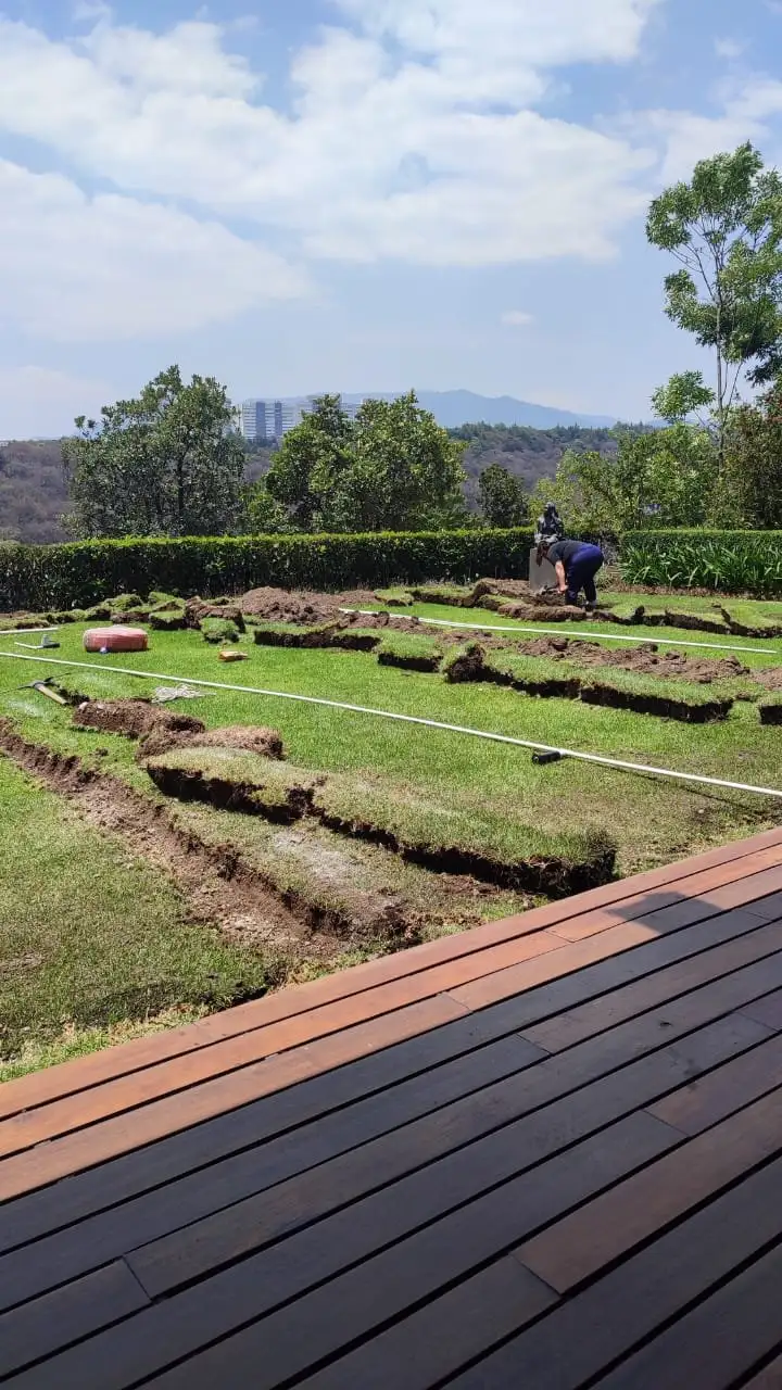 Pasto nuevo recién instalado junto a una terraza de madera